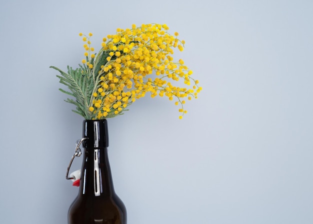 Flasche mit gelben Mimosenblüten auf grauem Hintergrund Kopierbereich