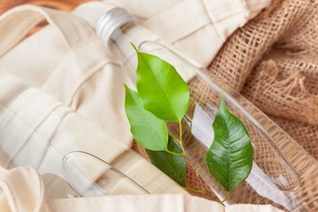 Flasche mit klarem Wasser und den grünen Blättern