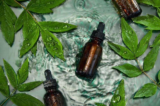 Flasche mit Kräuterserumöl-Kosmetikanzeige einfaches und natürliches Hautpflegekonzept