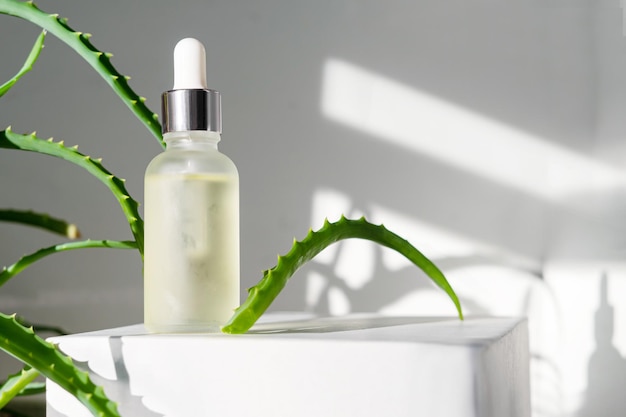 Flasche mit natürlichem Serum mit Kokosnuss- und Aloe-Blättern auf weißem Hintergrund