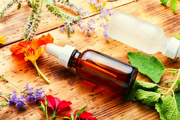 Flaschen ätherisches Öl mit frischen Kräutern und Blumen.Alternative gesunde Medizin