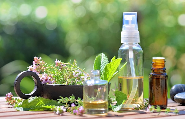 Flaschen ätherisches Öl und Blumen aromatischer Kräuter auf einem Tisch und auf grünem Hintergrund