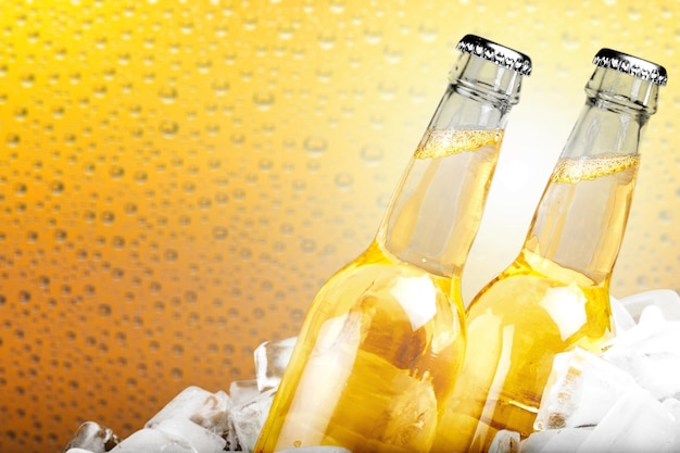 Flaschen kaltes und frisches Bier mit Eis isoliert auf weiß
