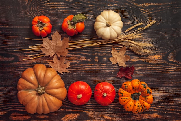 Flat lay Still life Autumn mood. Abóboras, espigas de trigo, folhas de plátano com espaço de cópia em fundo de madeira marrom.