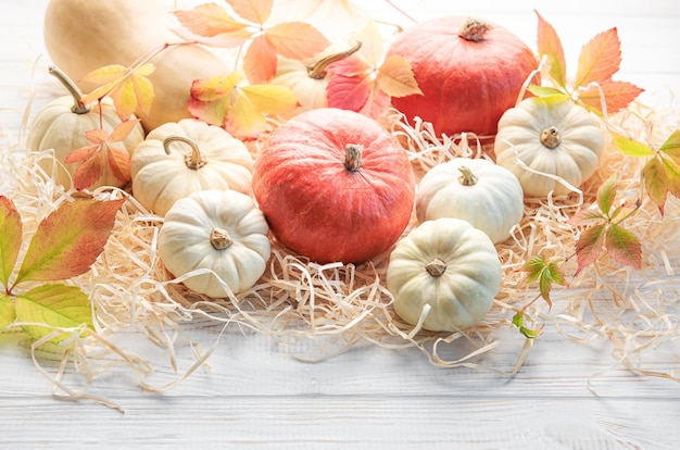 Flatlay de acción de gracias o cosecha con calabazas