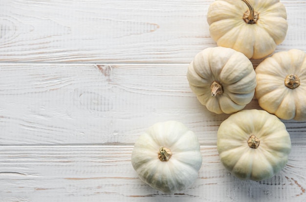 Flatlay de acción de gracias o cosecha con calabazas