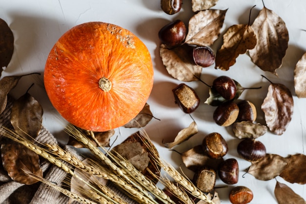 Flatlay com abóbora, folhas secas em cinza.