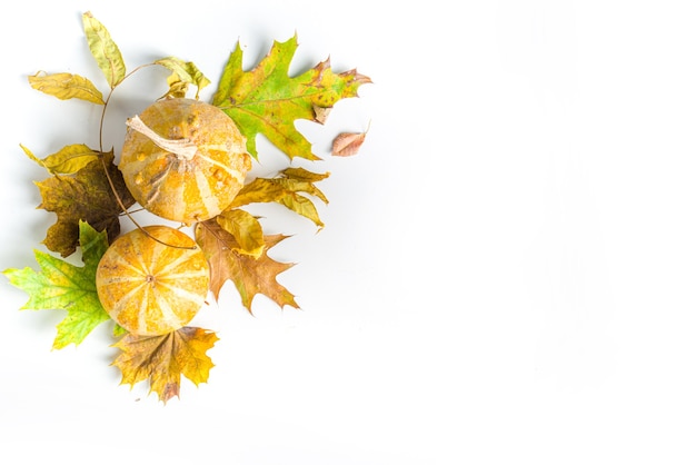 Flatlay de hojas de otoño simple, coloridas hojas secas de otoño y calabazas sobre fondo blanco, borde de marco de vista superior. Composición creativa de otoño.