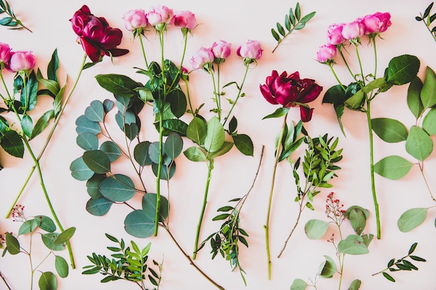 Flatlay de peonías moradas rosas rosas y ramas con hojas