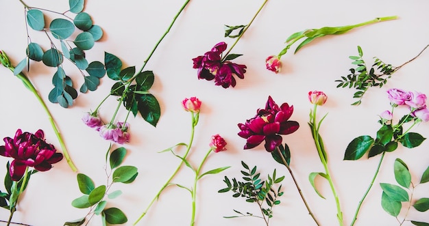 Flatlay de varias flores de verano sobre fondo rosa