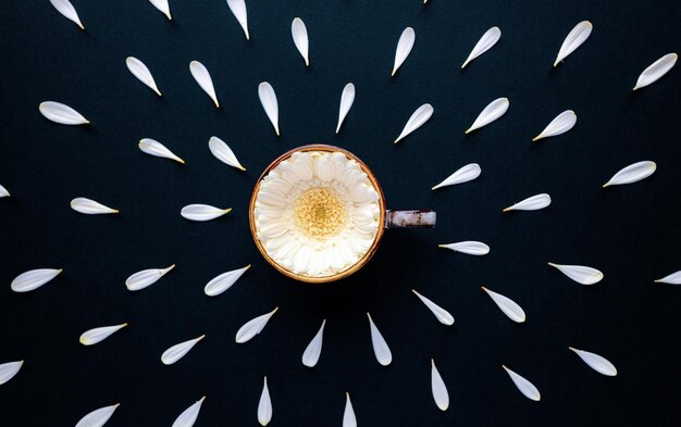 Foto flatlay von gerbera-blütenblättern um eine kaffeetasse mit einer blume