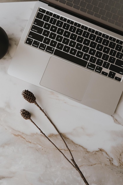 Flatlay von Laptop-Computer und getrockneter Blume auf Marmorhintergrund Ansicht von oben Flache Ansicht von oben