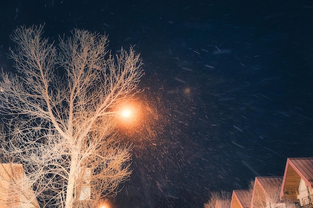 Flaumiger Schneefall fällt nachts durch den Glanz der Straßenlaterne und den trockenen Baum