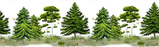 Flauschige Tannen und schlanke Kiefern an einer nahtlosen horizontalen Grenze Aquarell digitale Illustration Gras und Büsche auf einer isolierten Lichtung auf weißem Hintergrund Kleine Schmetterlinge