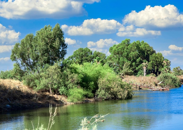 Flauschige Wolken mit einem Himmel unter dem See, umgeben von bunten Laubbäumen im Sommer Grüner Wald am Seeufer Helle Sommerseenlandschaft am Tag Tourismus-Sommerkonzept Selektiver Fokus