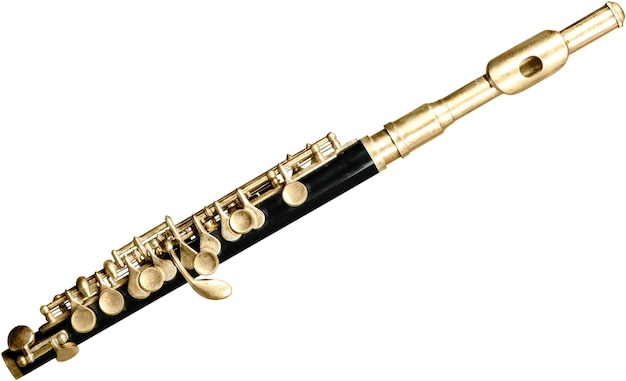 Foto flauta de instrumento musical aislado sobre fondo blanco.