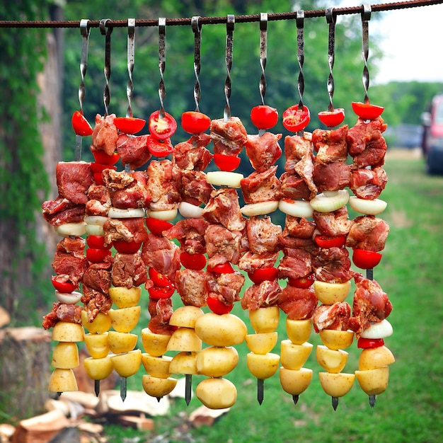 Fleisch mit Gemüse und Kartoffeln, zum Grillen zubereitet.