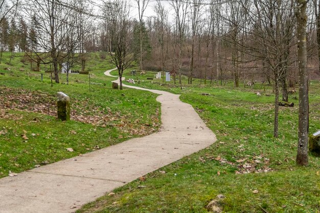 Foto fleurydevantdouaumont (em inglês)