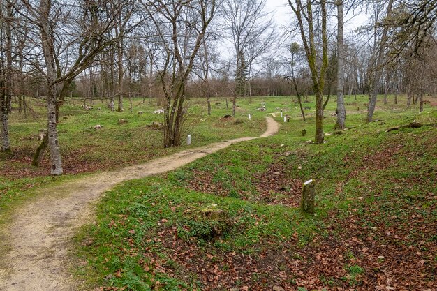 Foto fleurydevantdouaumont (en inglés)