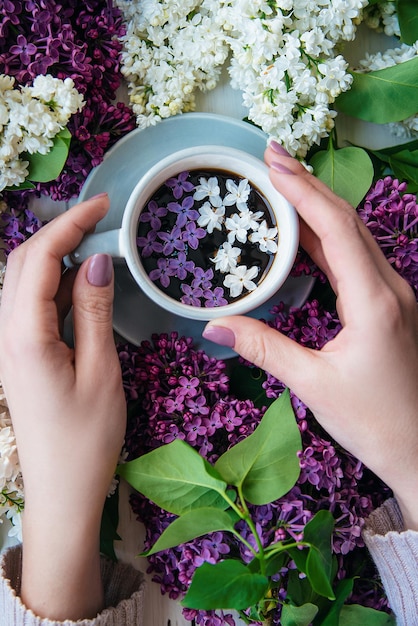 Fliederblumen in einer Tasse Kaffee in einem Kaffeehaus-Werbekonzept der Hände eines Mädchens