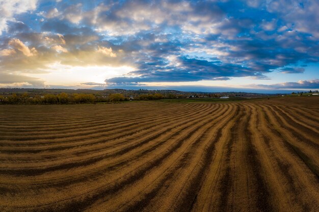 Fliegen über ein Feld mit wachsendem Weizen und Panorama-Drohnenschuss aus der Luft