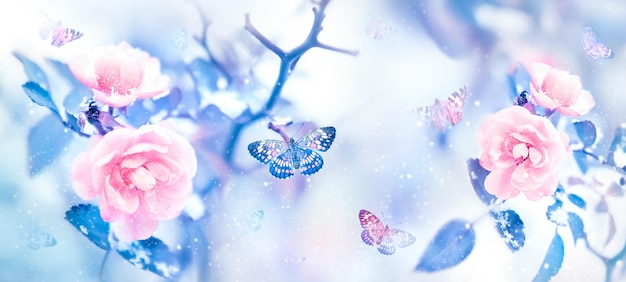 Fliegende Schmetterlinge und rosa Rosen in einem verschneiten Feengarten Winterwunderland