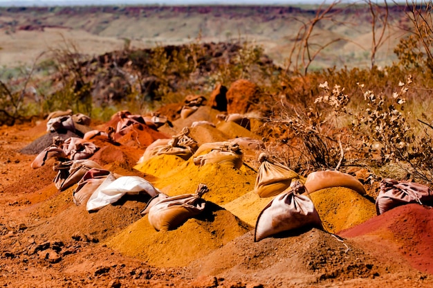 Foto flock von vögeln auf dem sand