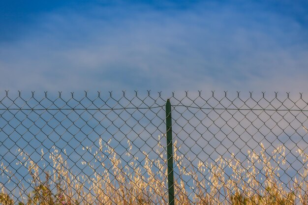 Foto flock von vögeln auf einem kettengrenz gegen den himmel