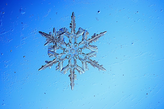 Floco de neve ajustou Fundo do inverno