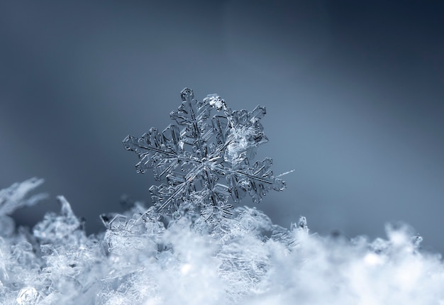 Floco de neve em monte de neve natural Feche o fundo de Natal e inverno