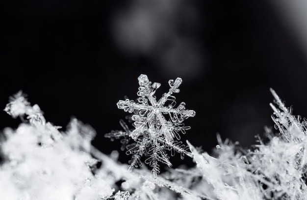 Floco de neve em monte de neve natural Feche o fundo de Natal e inverno