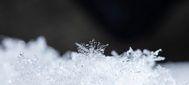 Floco de neve em monte de neve natural Feche o fundo de Natal e inverno