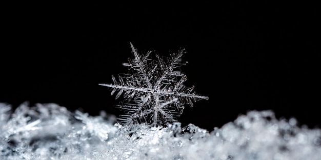 Floco de neve em monte de neve natural Feche o fundo de Natal e inverno