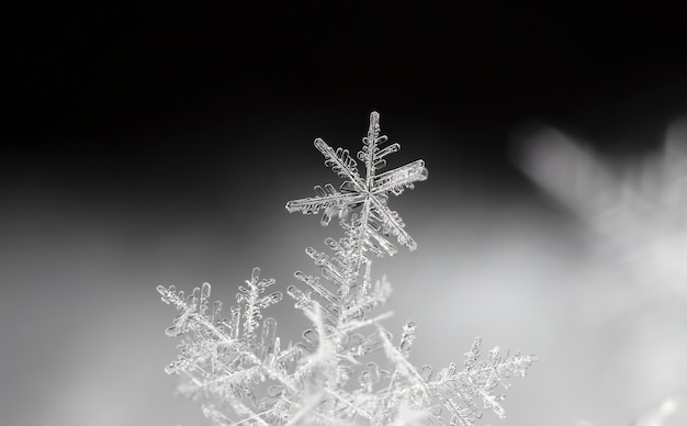 Floco de neve na neve, férias de inverno e fundo de Natal