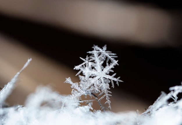 Floco de neve na neve, férias de inverno e fundo de Natal