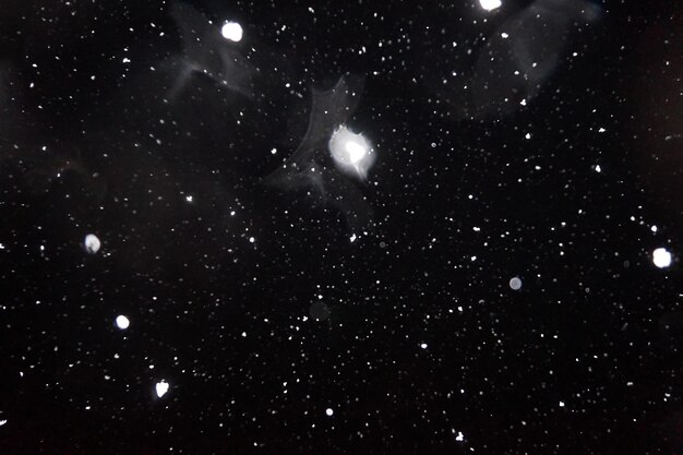 Flocos de neve caindo no céu noturno