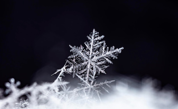 flocos de neve naturais na neve a imagem é feita a uma temperatura de10 C