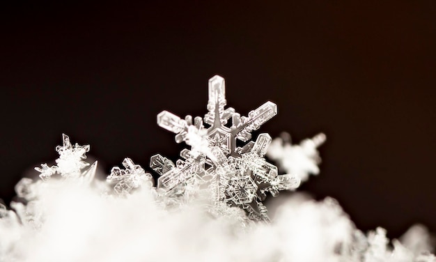 flocos de neve naturais na neve a imagem é feita a uma temperatura de10 C