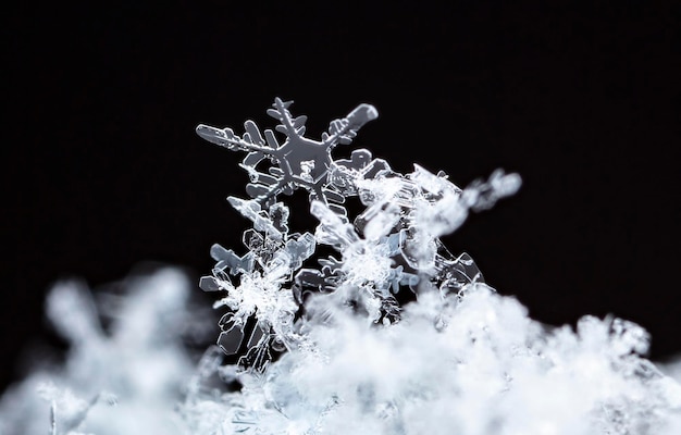 flocos de neve naturais no inverno de neve