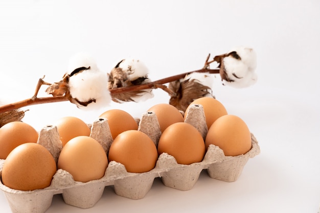 Foto flor de algodón con huevos en un blanco. felices pascuas.