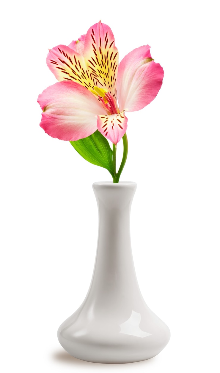 Foto flor de alstroemeria en un jarrón