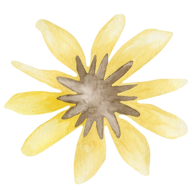 Flor amarela de ilustração aquarela isolada no fundo branco.