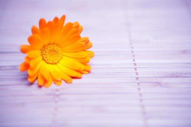 Foto flor amarela em esteira de bambu