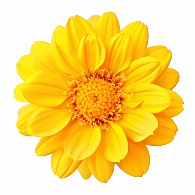 Foto flor amarela em fundo branco com recorte para gerador de texto ai