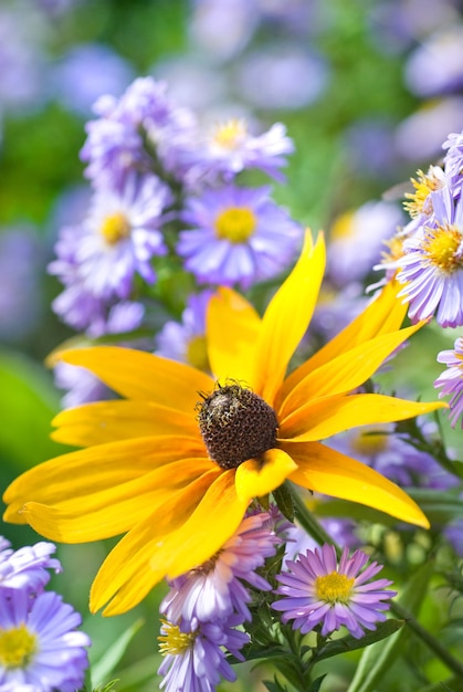 Foto flor amarela na natureza