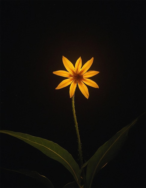 Foto una flor amarilla con un centro amarillo y un centro amarillento