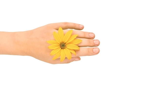 Flor amarilla como mujer muñeca anillo de bodas joyería flowerhead en mano femenina sobre fondo blanco.