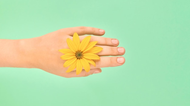 Flor amarilla como mujer muñeca anillo de bodas joyería flowerhead en mano femenina sobre fondo verde