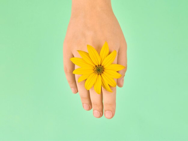 Flor amarilla como mujer muñeca anillo de bodas joyería flowerhead en mano femenina sobre fondo verde
