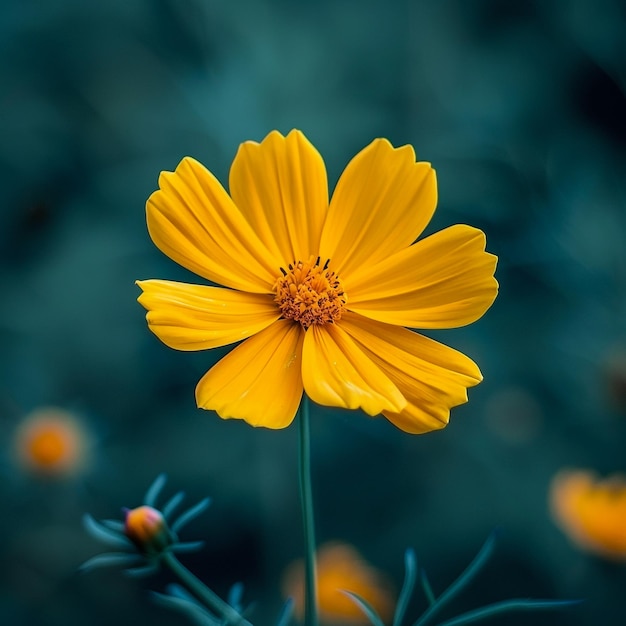 Foto una flor amarilla con el número 3 en ella